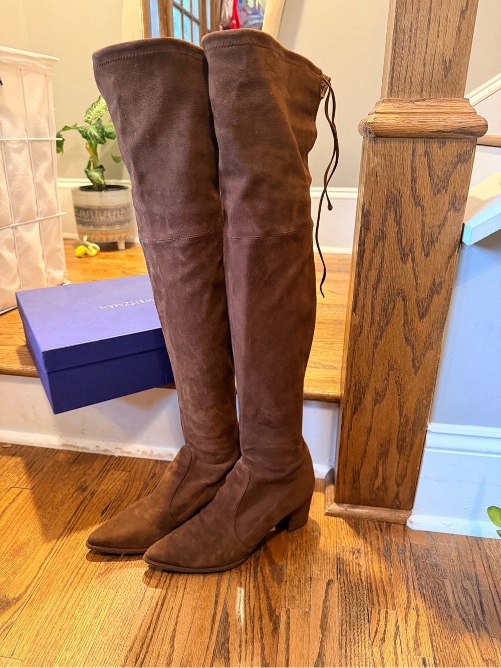 Stuart Weirtzman Over-the-Knee Thighland Boots in Brown Suede
